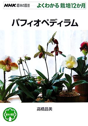 趣味の園芸 パフィオペディラム よくわかる栽培12か月 NHK趣味の園芸