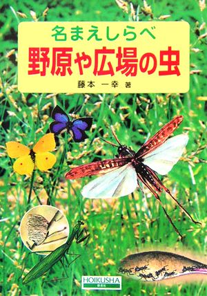 名まえしらべ 野原や広場の虫