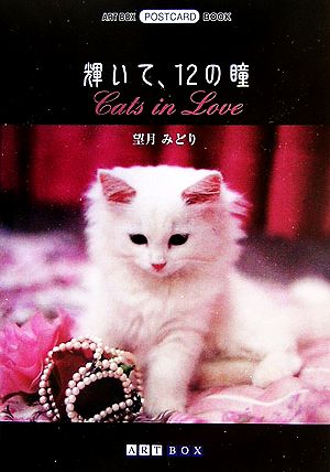 輝いて、12の瞳 Cats in LoveART BOX POSTCARD BOOK