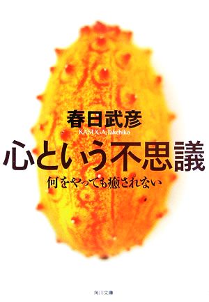 心という不思議 何をやっても癒されない 角川文庫