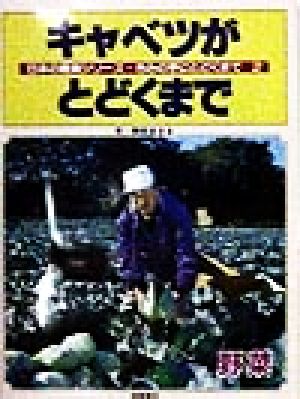 キャベツがとどくまで 野菜 日本の産業シリーズ・きみの手にとどくまで2