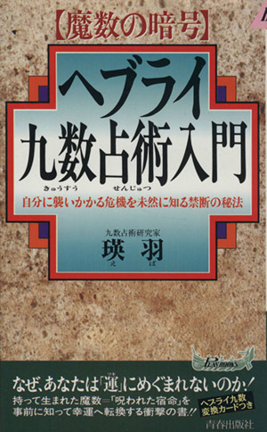 ヘブライ九数占術入門 自分に襲いかかる危機を未然に知る禁断の秘法 青春新書PLAY BOOKS