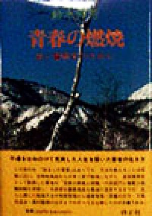 青春の燃焼 若い警察官のために