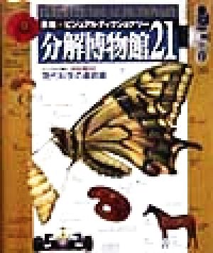 分解博物館21 英和ビジュアルディクショナリー 中古本・書籍 | ブック