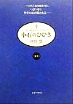 小石のひびき(B年) 主日福音のキーワード