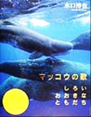 マッコウの歌 しろいおおきなともだち 地球からのメッセージ絵本