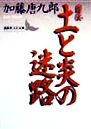 自伝 土と炎の迷路 講談社文芸文庫