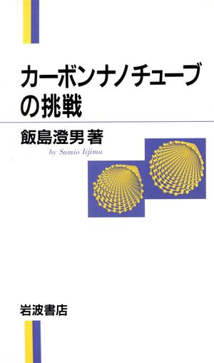 カーボンナノチューブの挑戦 岩波科学ライブラリー66