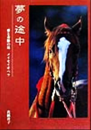 夢の途中愛と奇跡の馬メイセイオペラ