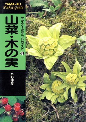 山菜・木の実ヤマケイポケットガイド6