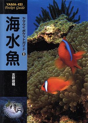 海水魚ヤマケイポケットガイド8