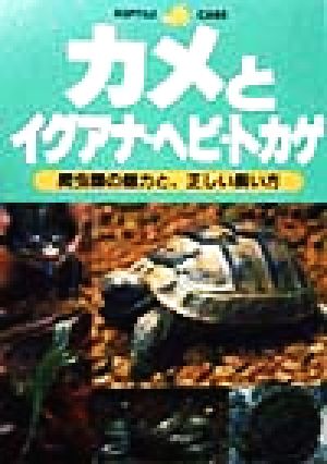 カメとイグアナ・ヘビ・トカゲ 爬虫類の魅力と、正しい飼い方