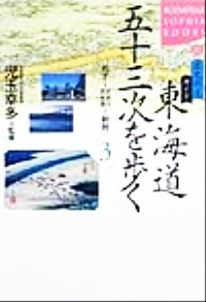 歴史街道ガイド 東海道五十三次を歩く(3) 丸子～大井川・浜名湖-新居 講談社SOPHIA BOOKS歴史街道ガイド