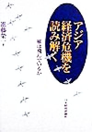 アジア経済危機を読み解く 雁は飛んでいるか