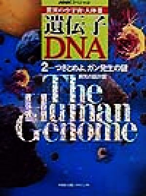 NHKスペシャル 驚異の小宇宙・人体3 遺伝子・DNA(2)つきとめよ、ガン発生の謎-病気の設計図