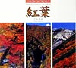 日本の名景 紅葉 日本の名景 Suiko books