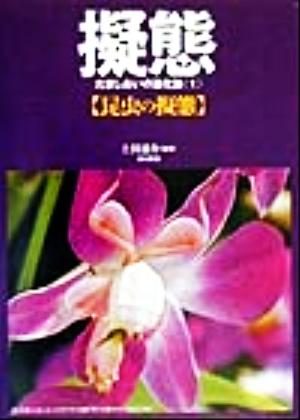 擬態(1) だましあいの進化論-昆虫の擬態