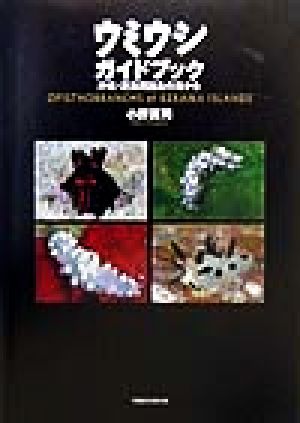 ウミウシガイドブック 沖縄・慶良間諸島の海から