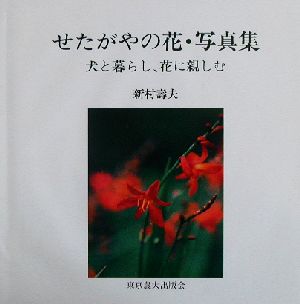 せたがやの花・写真集 犬と暮らし、花に親しむ