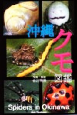 沖縄クモ図鑑 めずらしい沖縄のクモ217種！