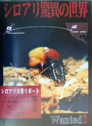 シロアリ驚異の世界(第2巻) ネバダオオシロアリ日本に居住して10数年-シロアリ実態リポート