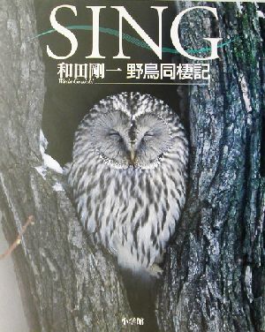 SING 和田剛一野鳥同棲記 野鳥同棲記