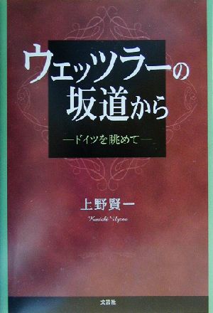 ウェッツラーの坂道から ドイツを眺めて