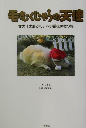 毛むくじゃらの天使 愛犬「太郎さん」への最後の贈り物