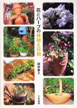 花とハーブの鉢植え日和