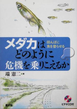 メダカはどのように危機を乗りこえるか 田んぼに魚を登らせる