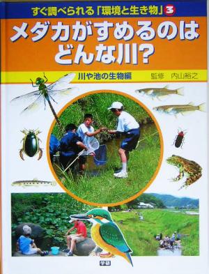 すぐ調べられる「環境と生き物」(3) 川や池の生物編 メダカがすめるのはどんな川？