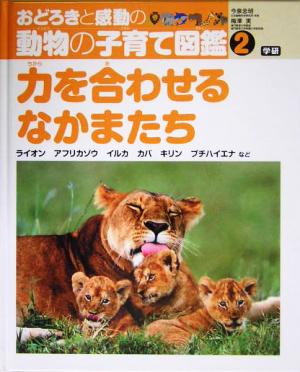 おどろきと感動の動物の子育て図鑑 力を合わせるなかまたち(2)ライオン・アフリカゾウ・イルカ・カバ・キリン・ブチハイエナなど