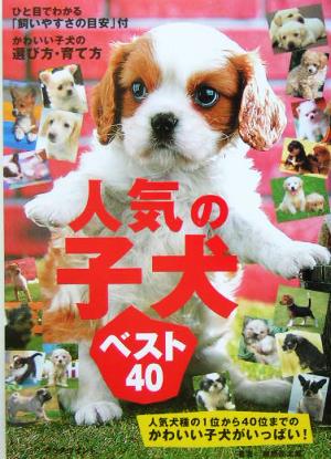 人気の子犬ベスト40 1位から40位の子犬を紹介！かわいい子犬の選び方・育て方