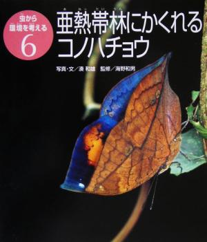 亜熱帯林にかくれるコノハチョウ 虫から環境を考える6