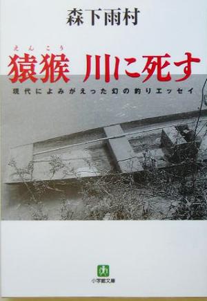 猿猴 川に死す 現代によみがえった幻の釣りエッセイ 小学館文庫