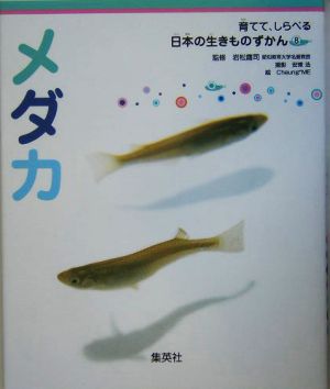 メダカ 育てて、しらべる日本の生きものずかん8 新品本・書籍 | ブック