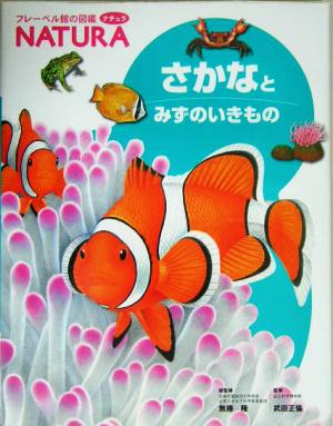 さかなとみずのいきもの フレーベル館の図鑑ナチュラ6