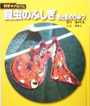 昆虫のふしぎ 色と形のひみつ 科学のアルバム