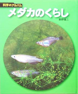 メダカのくらし 科学のアルバム93