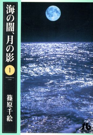 海の闇、月の影(文庫版)(1)小学館文庫