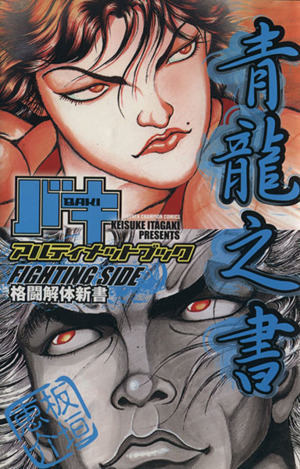 BAKI アルティメットブックFIGHTING SIDE 青龍之書 チャンピオンC