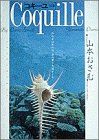 コキーユ-貝殻-ビッグCスペシャル