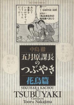 五月原課長のつぶやき 花鳥篇(3) ビッグCスペシャル