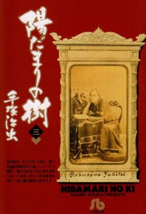 陽だまりの樹(小学館文庫版)(3) 小学館文庫