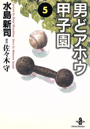 男どアホウ甲子園(文庫版)(5) 秋田文庫