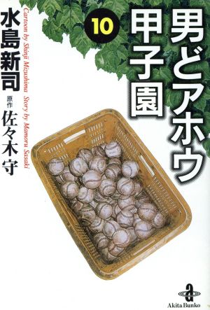 男どアホウ甲子園(文庫版)(10) 秋田文庫