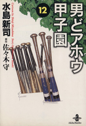 男どアホウ甲子園(文庫版)(12) 秋田文庫
