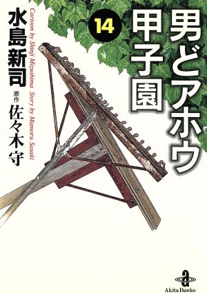 男どアホウ甲子園(文庫版)(14) 秋田文庫