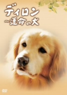 ディロン 運命の犬