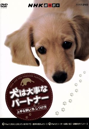 NHK趣味悠々 犬は大事なパートナー 上手な飼い方、しつけ方